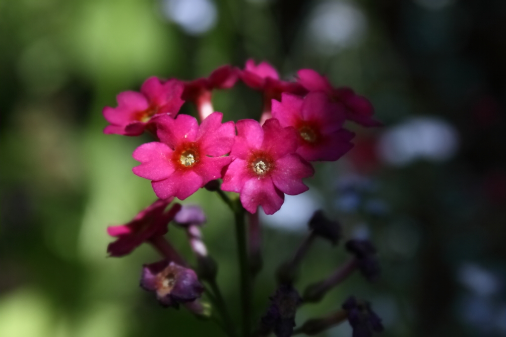 2012 05 20 4020